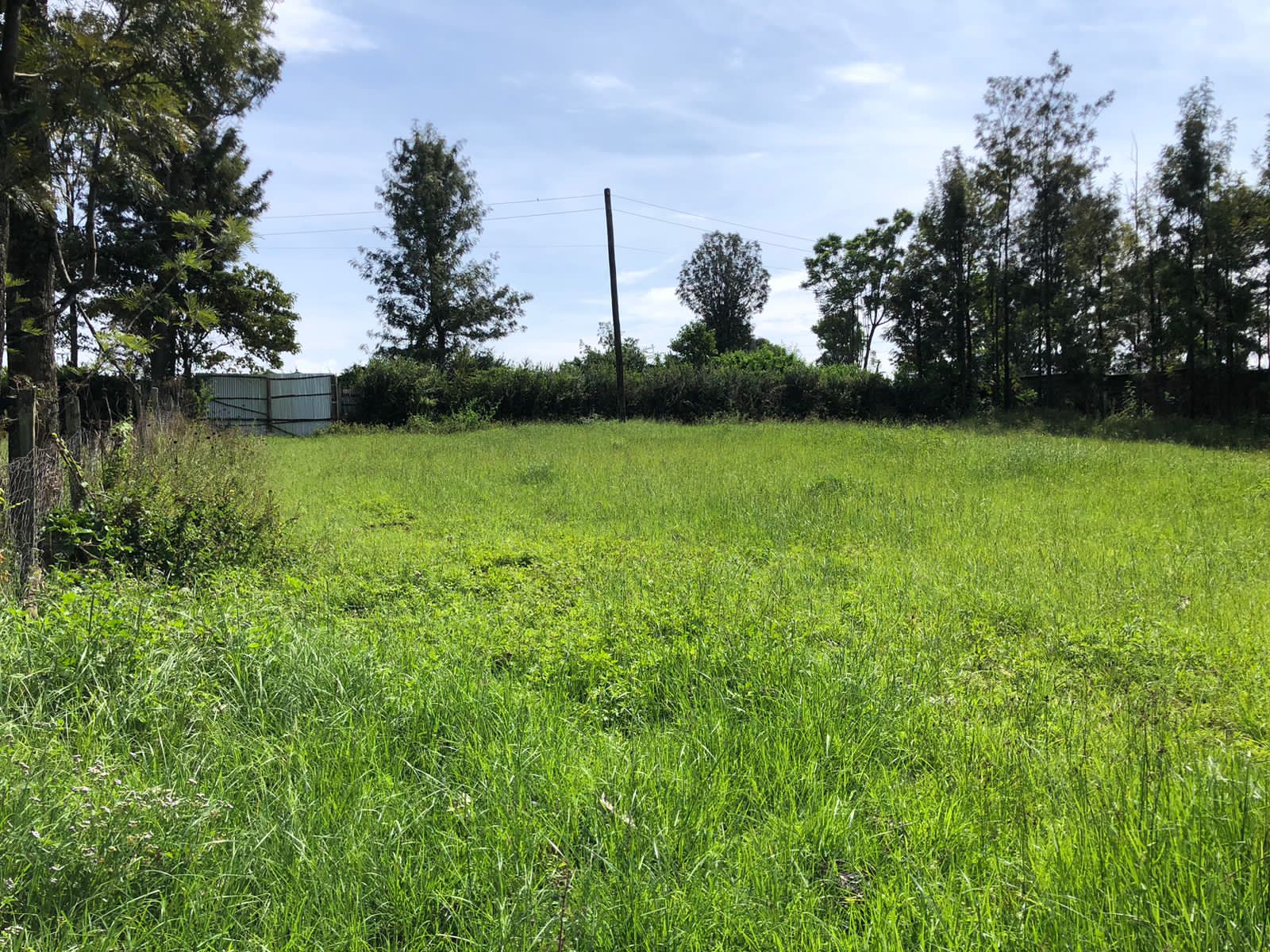 4 acres within upper side of Zaburi area