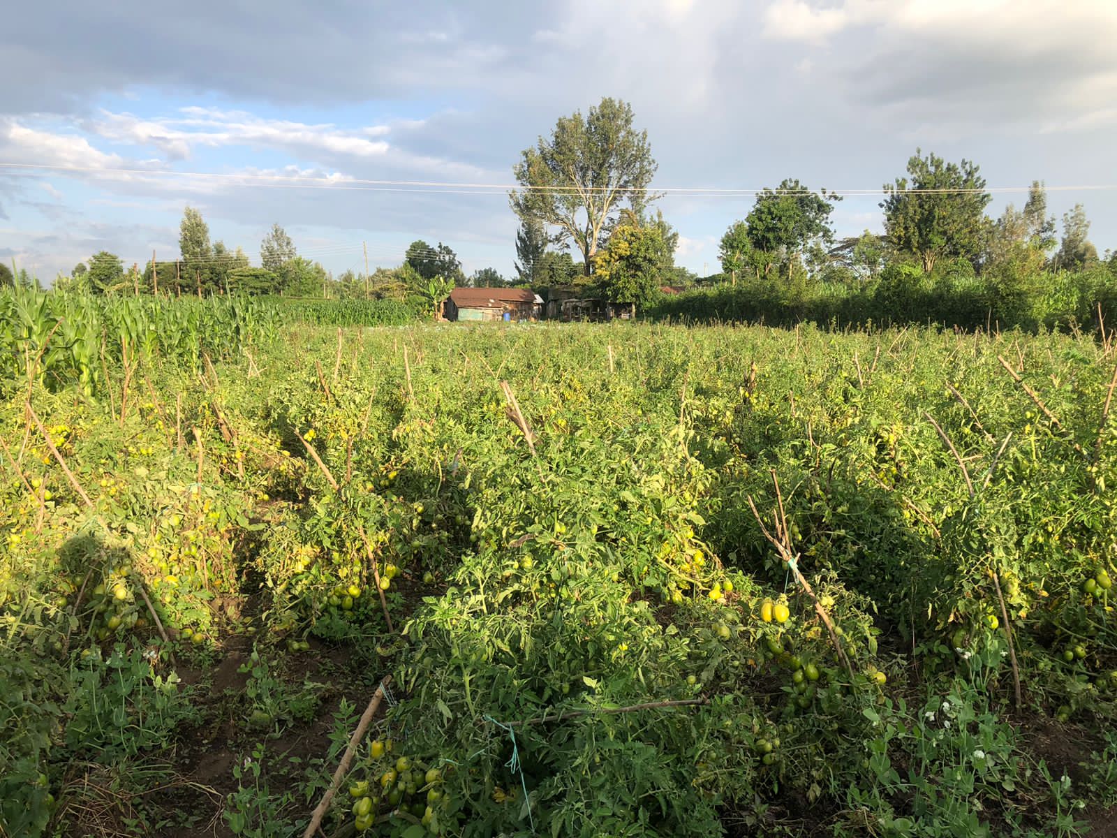 2.8 acres in Mang'u, Nakuru County