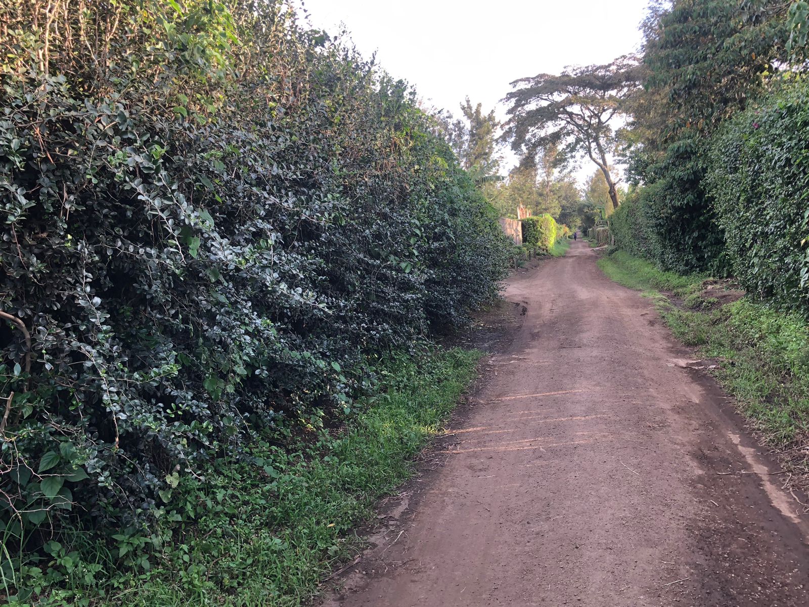 2.8 acres in Mang'u, Nakuru County