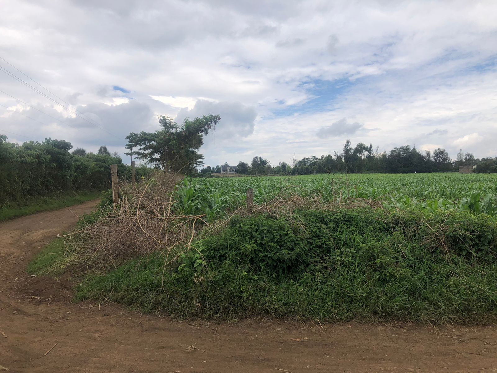 6 acres in Mang'u