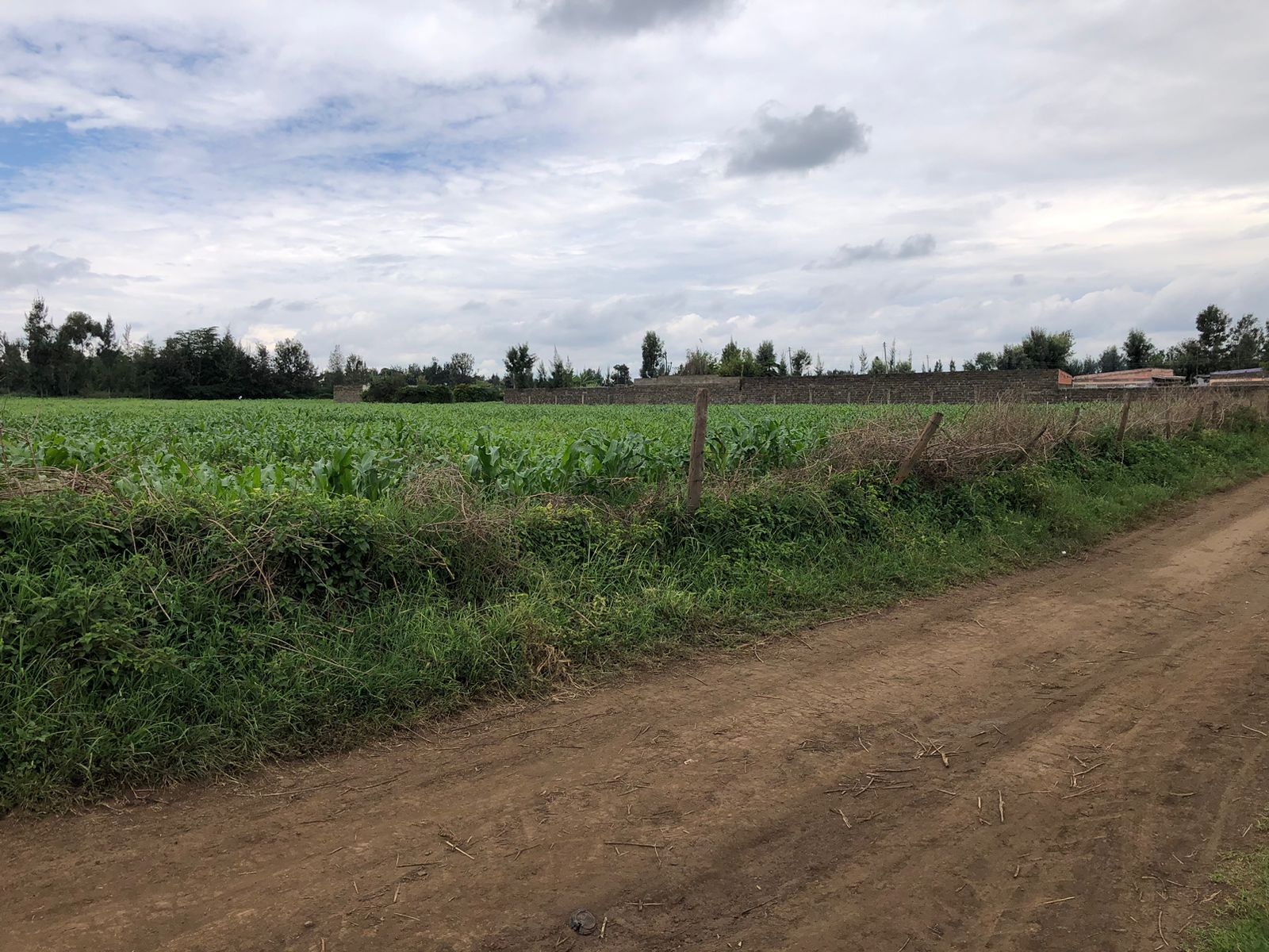 6 acres in Mang'u
