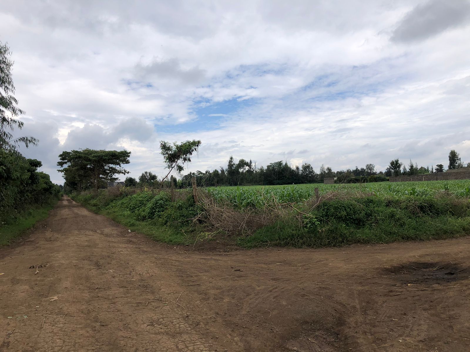 6 acres in Mang'u