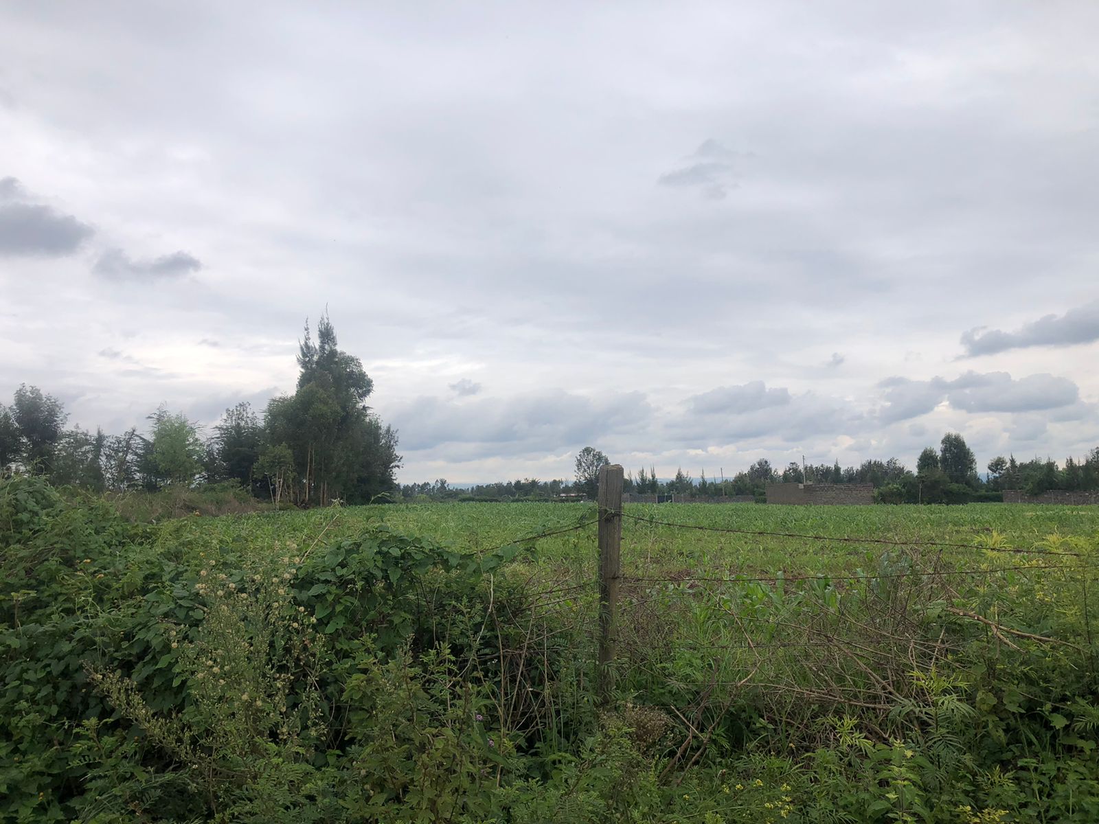 6 acres in Mang'u