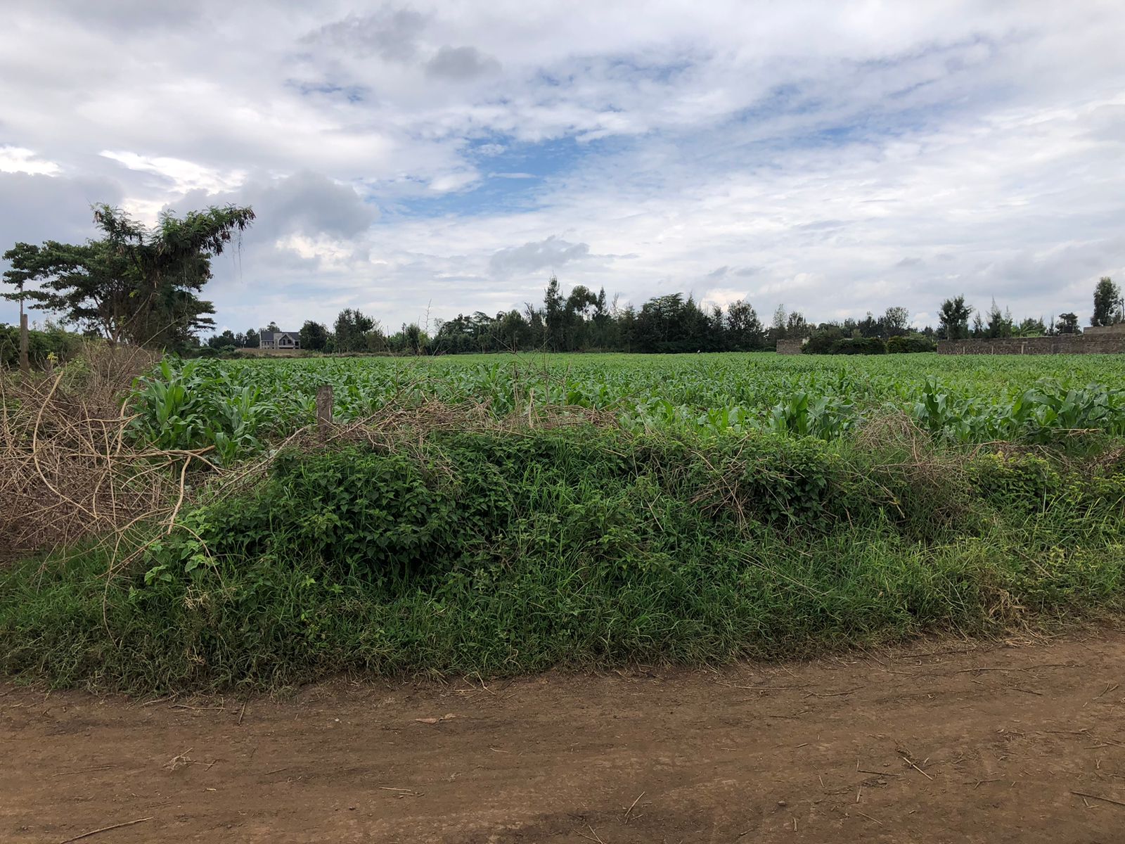 6 acres in Mang'u