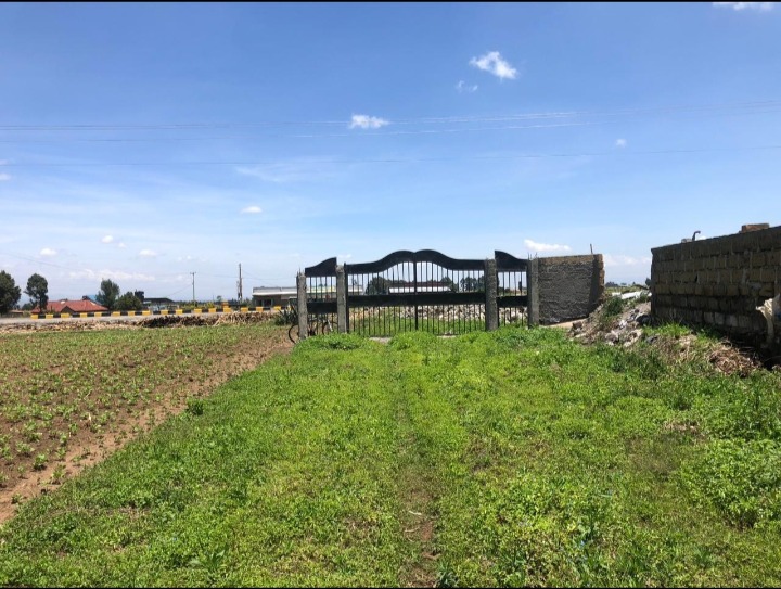 50x100 plots at Sobea